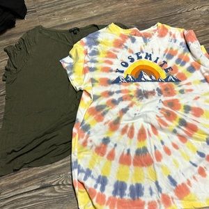 Bundle of 2 short sleeve ts- Lane Bryant- 14/16